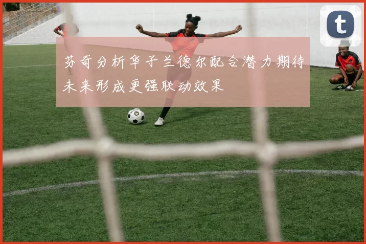 芬奇分析华子兰德尔配合潜力期待未来形成更强联动效果