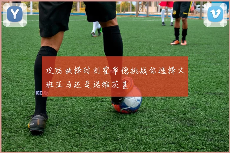 攻防抉择时刻霍华德挑战你选择文班亚马还是诺维茨基