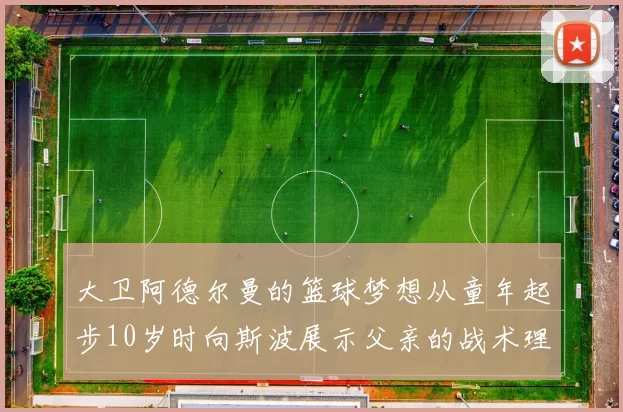 大卫阿德尔曼的篮球梦想从童年起步10岁时向斯波展示父亲的战术理念